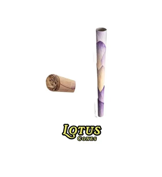 LOTUS CONES - REAL LOTUS PETAL CONES