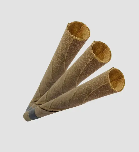 LEAF PALMS MEDIUM BAHAMA MAMA