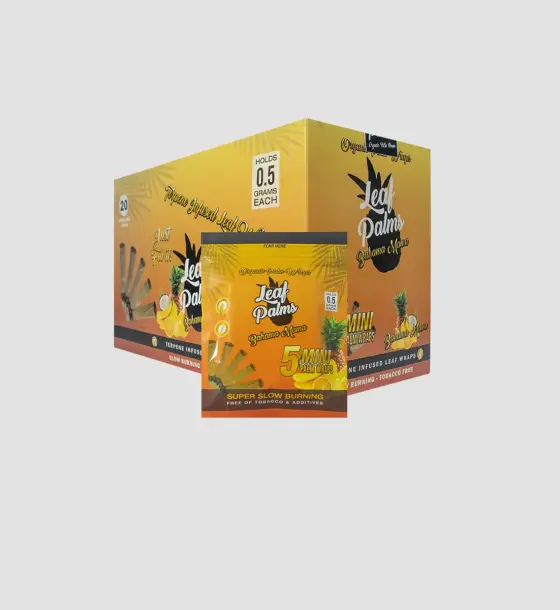 BOX LEAF PALMS MINI BAHAMA MAMA