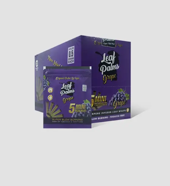 BOX LEAF PALMS MINI GRAPE