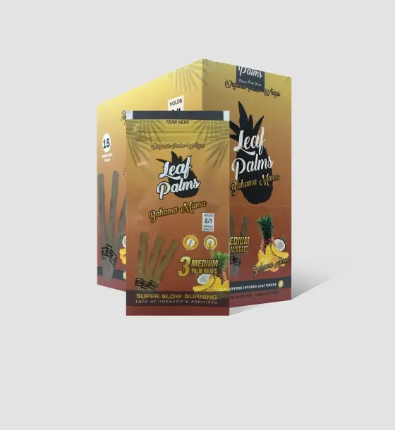 BOX LEAF PALMS MEDIUM BAHAMA MAMA