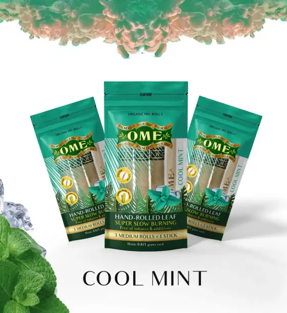 Cool Mint  - 3 MEDIUM Pack