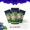 Blueberry - 3 MEDIUM Pack