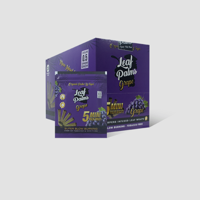 BOX LEAF PALMS MINI GRAPE