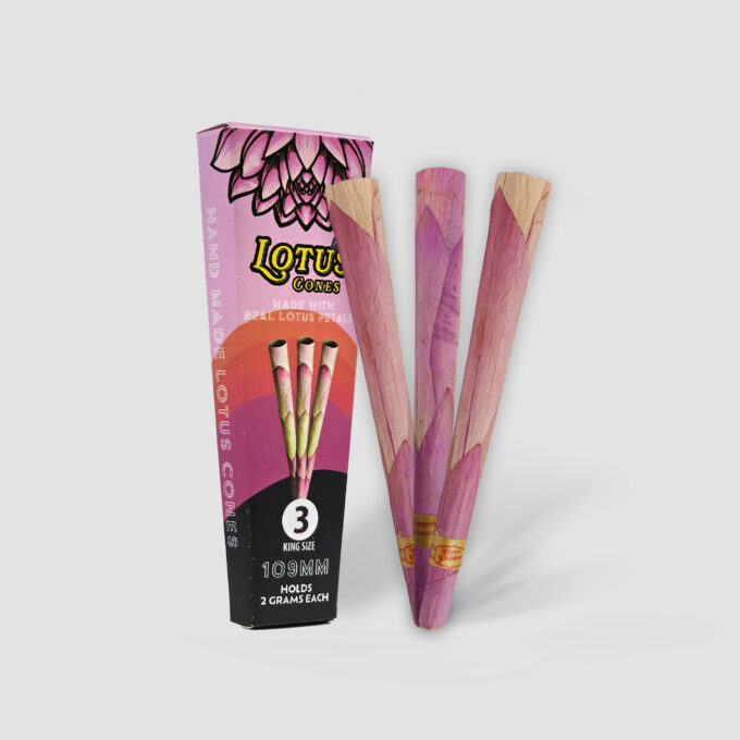 BOX LOTUS CONES PINK