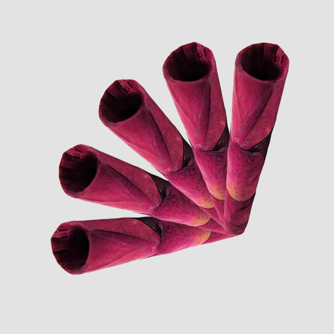 ROSE PALMS MINI ORIGINAL
