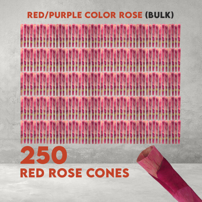 BULK KING SIZE RED CONES 250
