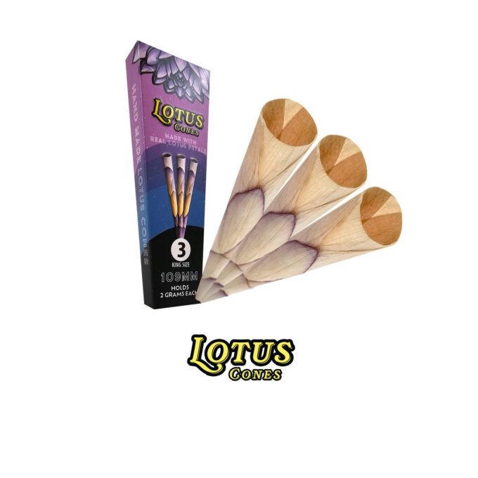 LOTUS CONES DISPLAY BOX – REAL LOTUS PETAL CONES