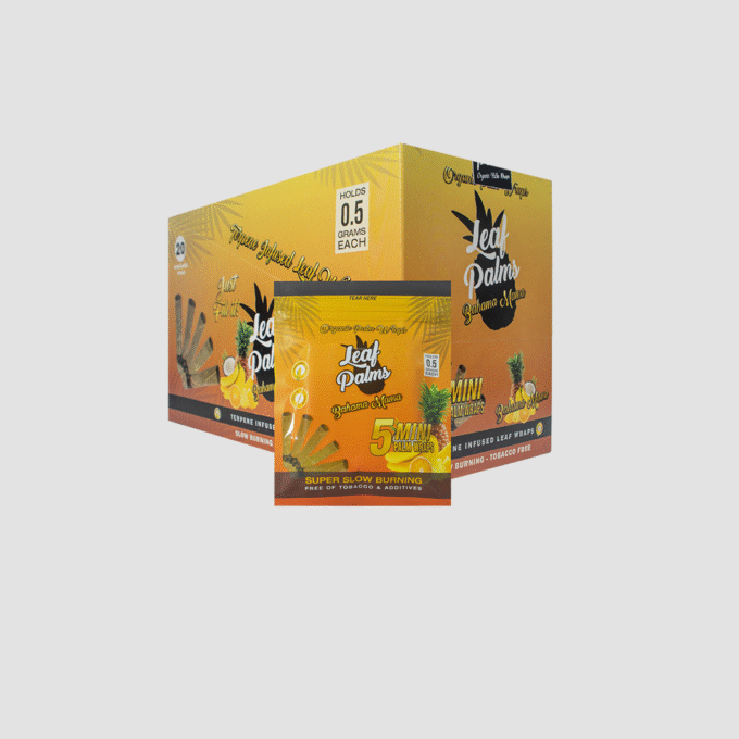 BOX LEAF PALMS MINI BAHAMA MAMA