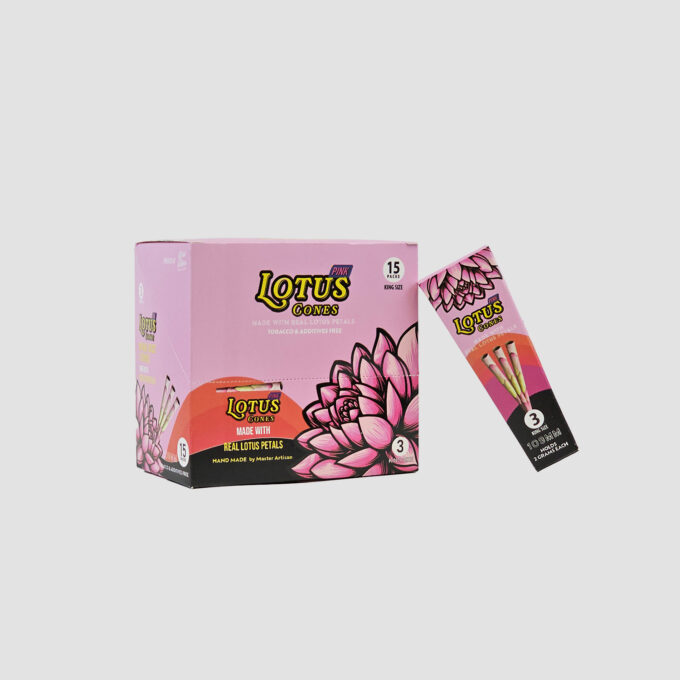 BOX LOTUS CONES PINK