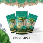 Cool Mint  - 3 MEDIUM Pack
