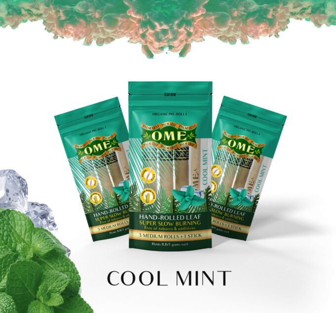 Cool Mint  – 3 MEDIUM Pack