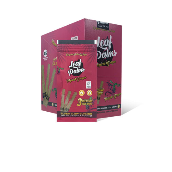 BOX OF LEAF PALMS MINI TROPICAL DRAGON “100 COUNT”