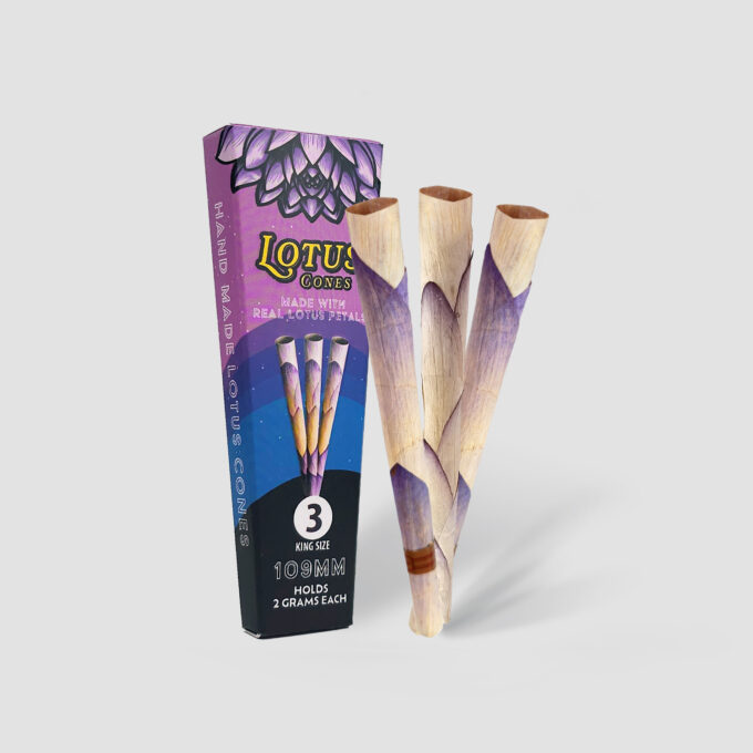 BOX LOTUS CONES