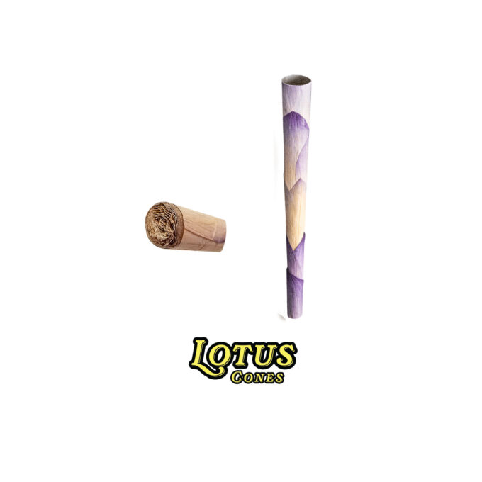 LOTUS CONES DISPLAY BOX – REAL LOTUS PETAL CONES