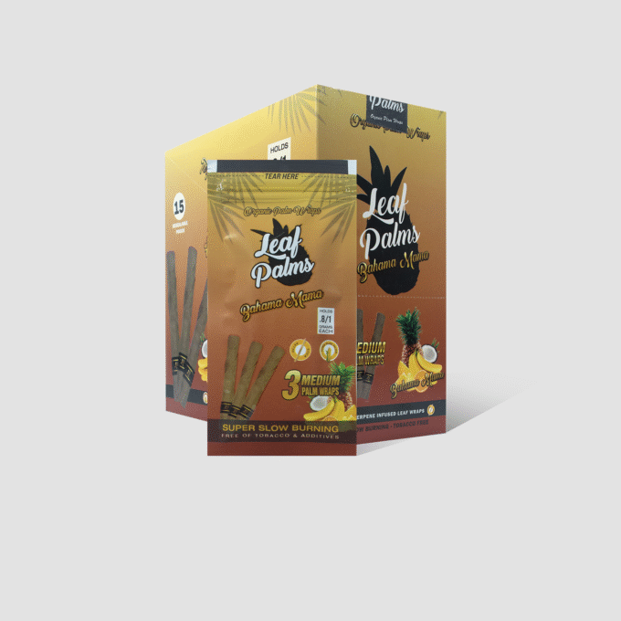 BOX LEAF PALMS MEDIUM BAHAMA MAMA