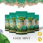 Cool Mint - 5 MEDIUM Pack