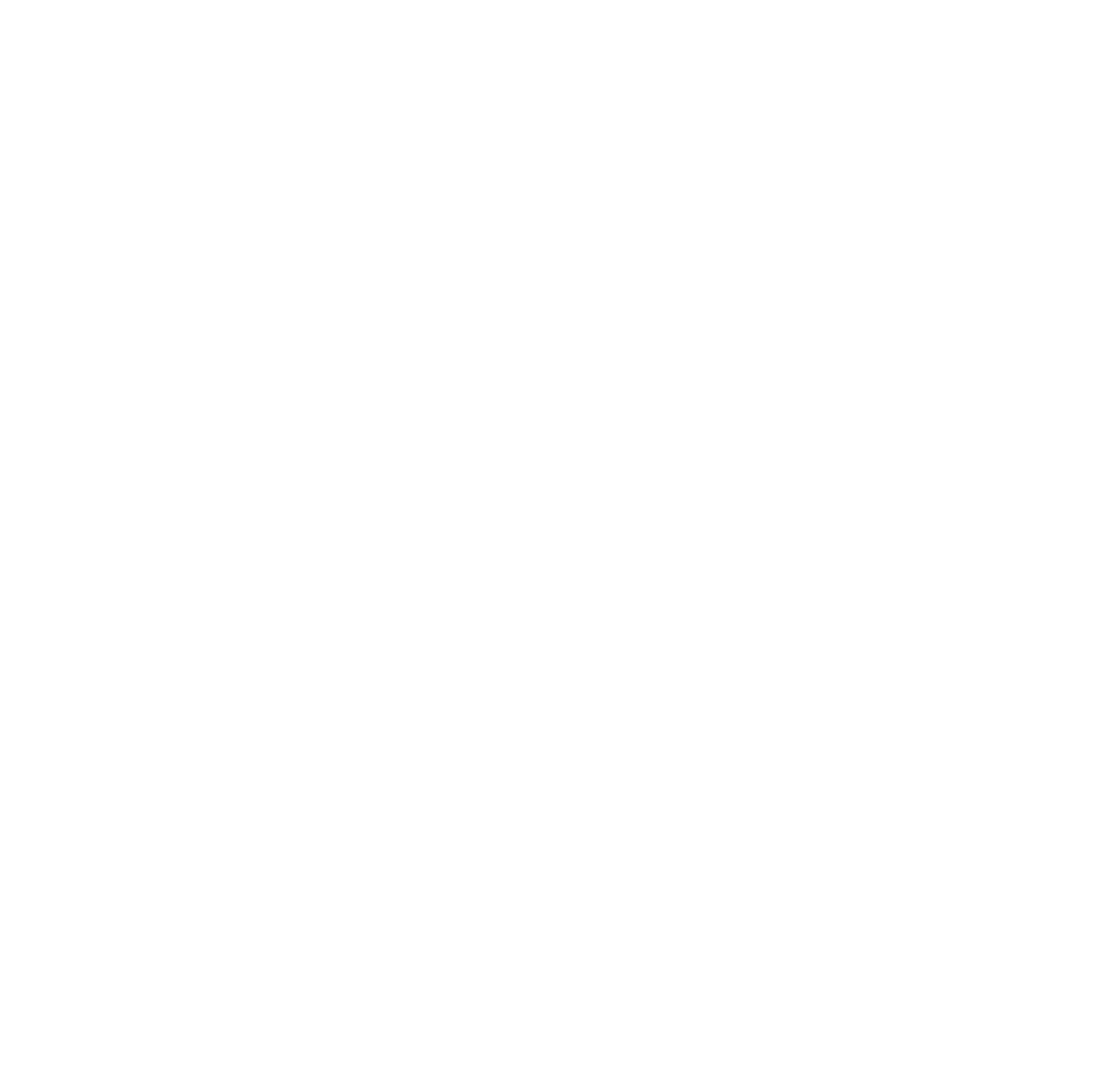 Leaf Palm