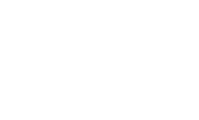 Leaf Palms